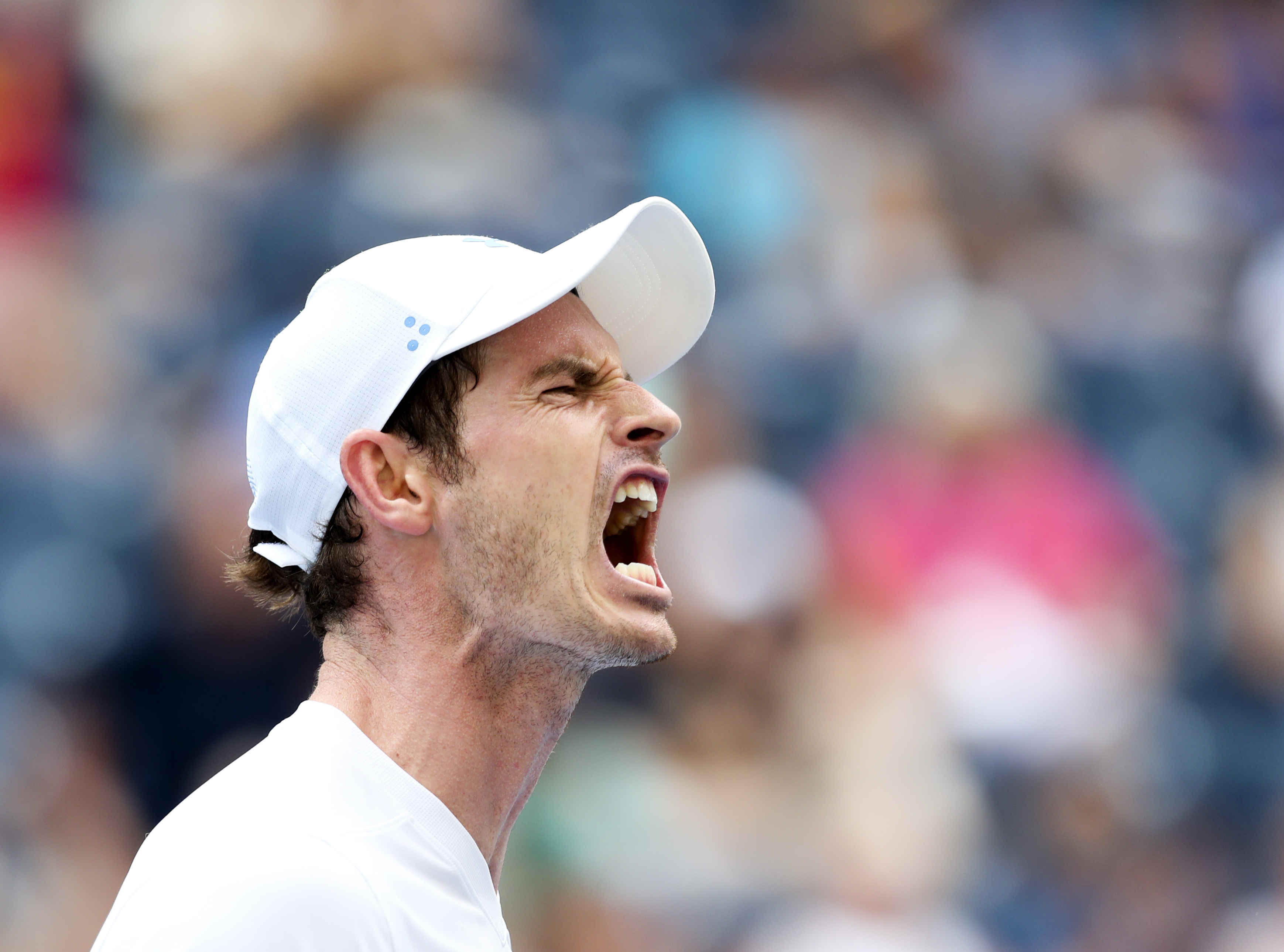 虎扑篮球-关于穆雷迎来二十赛季高光表现，MAD球迷沸腾！的信息